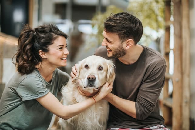 a couple petting a dog