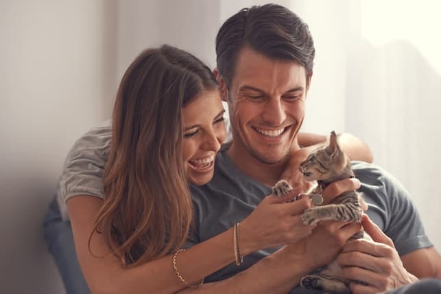 a couple petting a kitten