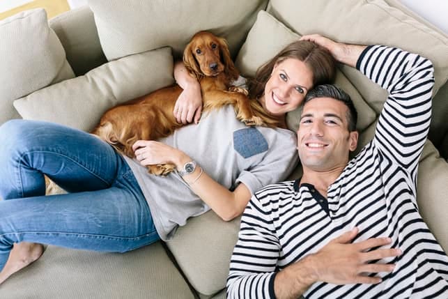 pleasant chilling at home with dog