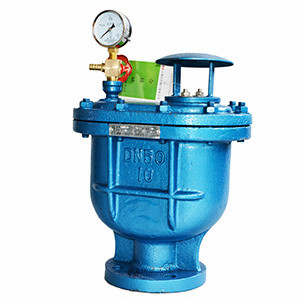 复合式排气阀图片